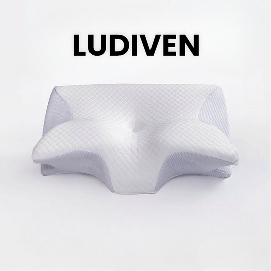 LUDIVEN - Oreiller ergonomique